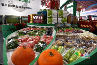 第九屆唐山農(nóng)產(chǎn)品展示交易會暨樂亭現(xiàn)代農(nóng)業(yè)博覽會開幕，聚焦畜產(chǎn)品購銷貿(mào)易