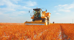 PE如何與中國(guó)農(nóng)業(yè)企業(yè)對(duì)接畜產(chǎn)品購(gòu)銷貿(mào)易